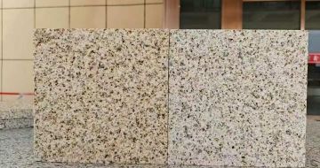 德州 黄金麻荔枝面，中黄与浅黄