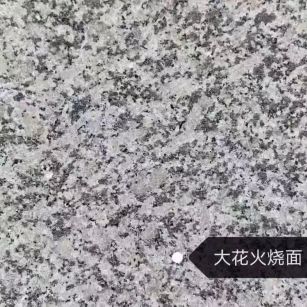 德州 芙蓉白（芝麻白大花）火烧面