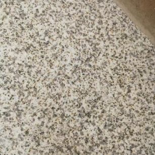 德州 黄金麻中黄光面