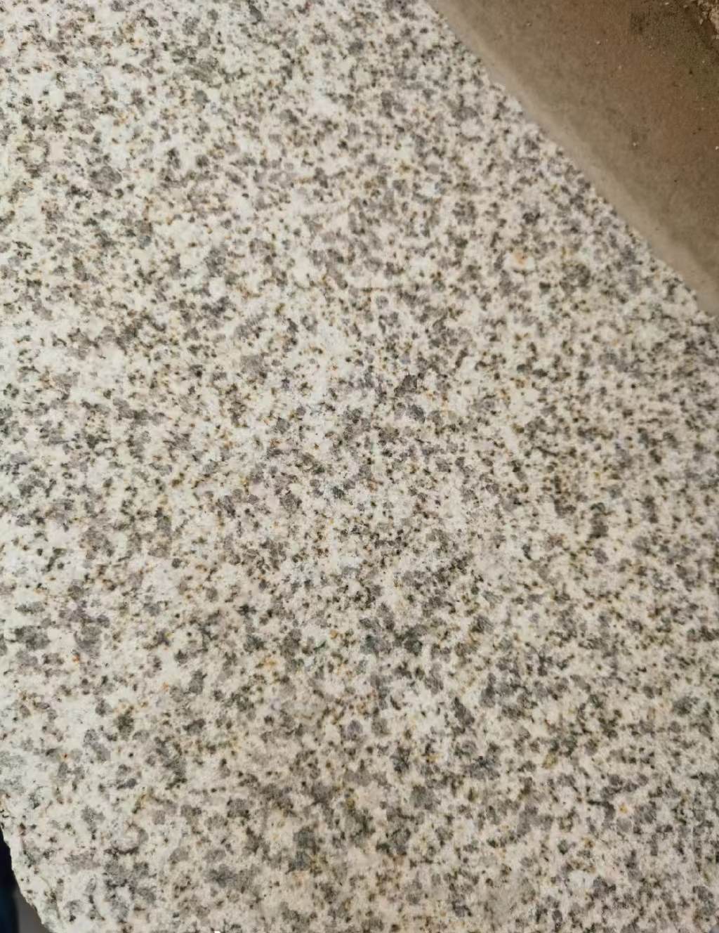 德州 黄金麻中黄光面