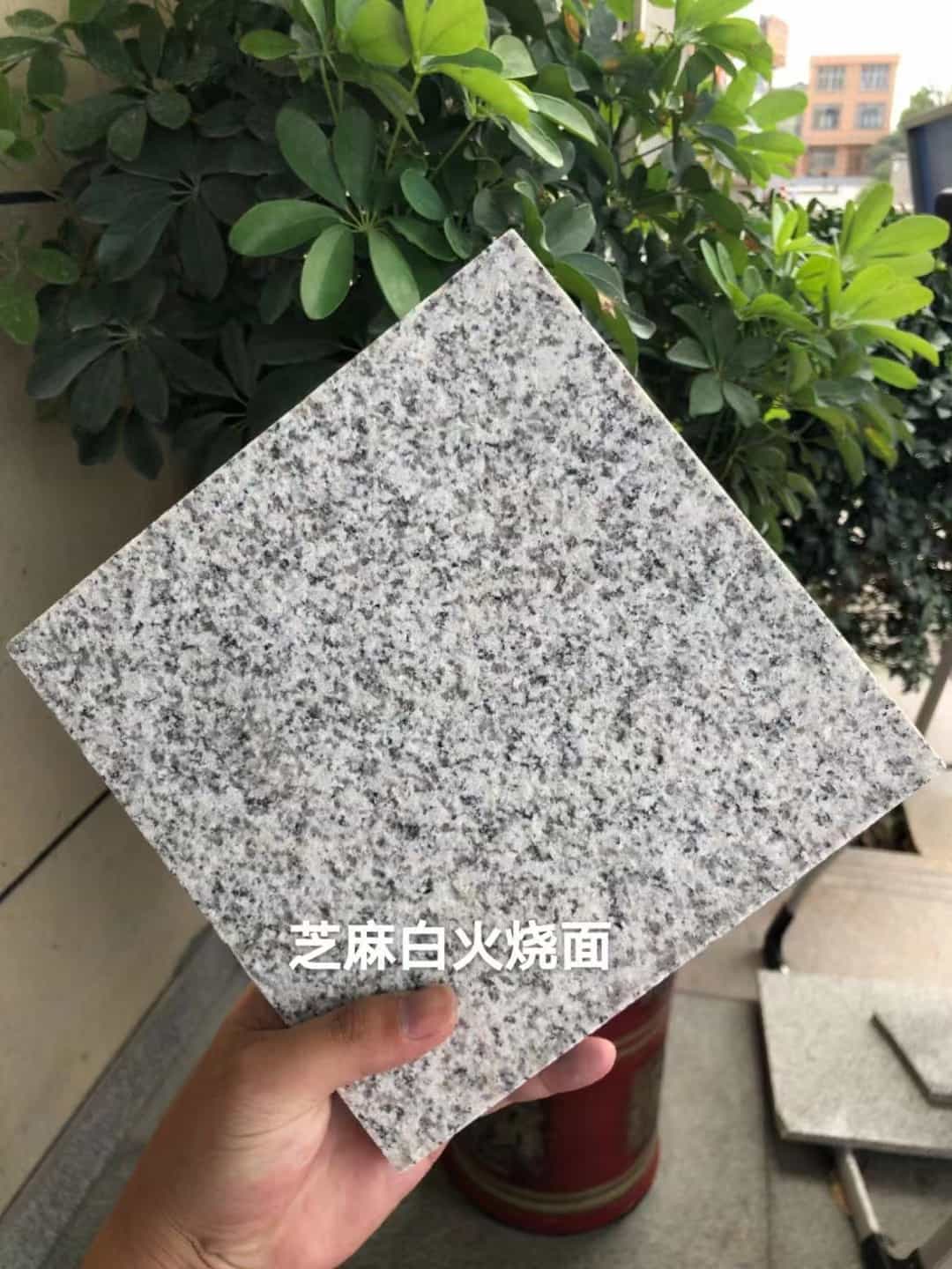 德州芝麻白火烧面地铺