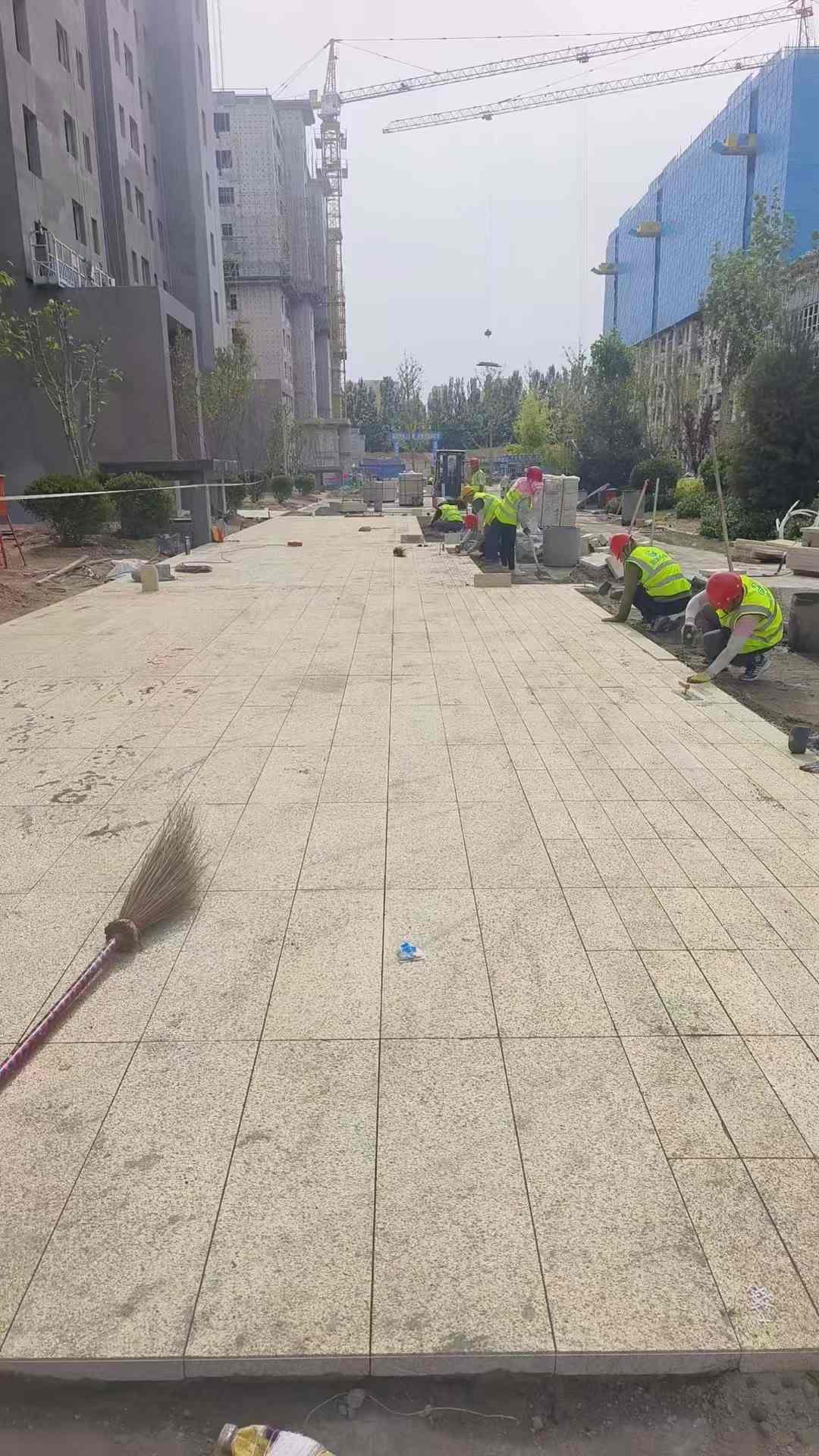 德州黄金麻荔枝面地铺案例